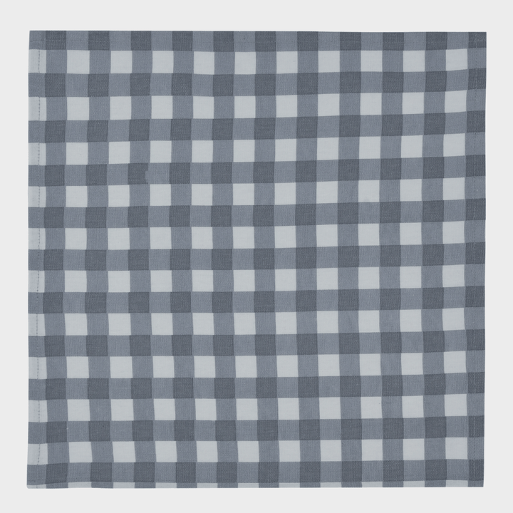 Gingham Check Set of 4 Napkins from You Know Who's