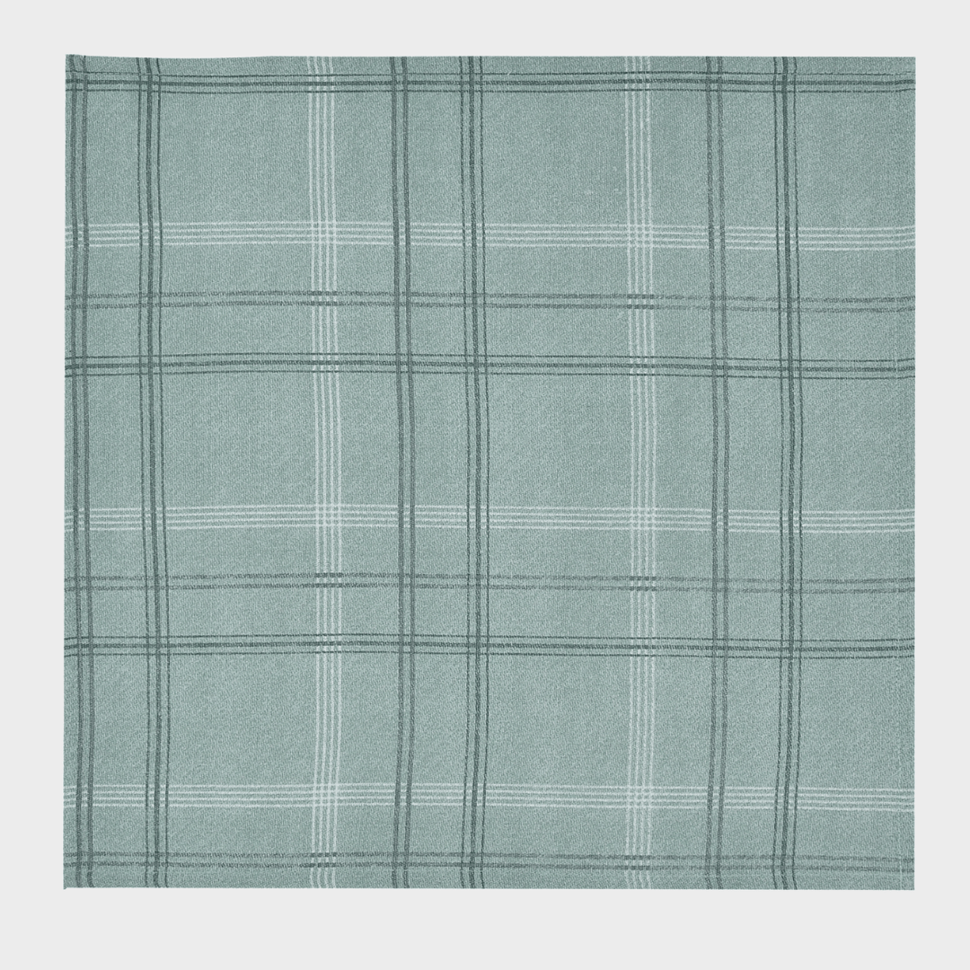 Green Check Set of 4 Napkins from You Know Who's