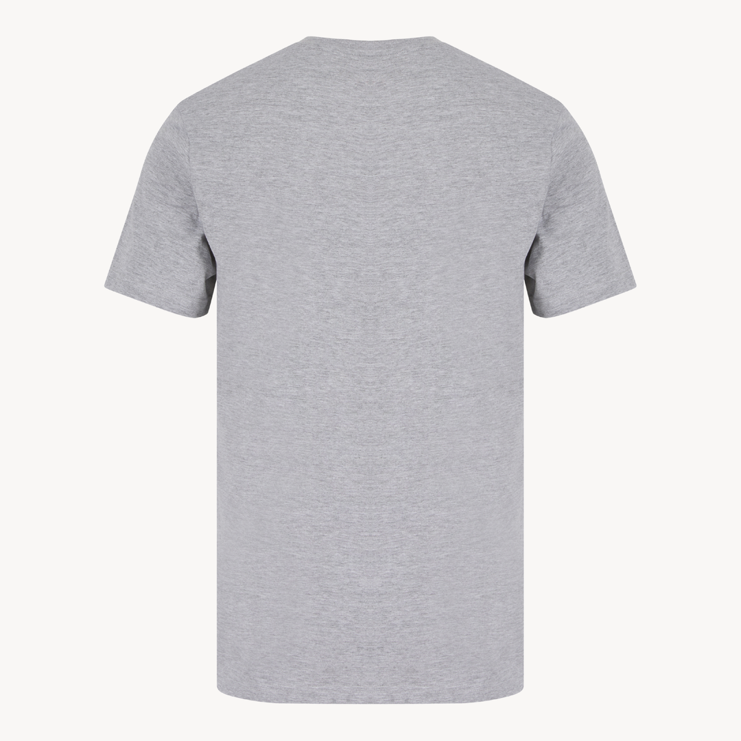 Mens Grey Wave Chaser T-shirt