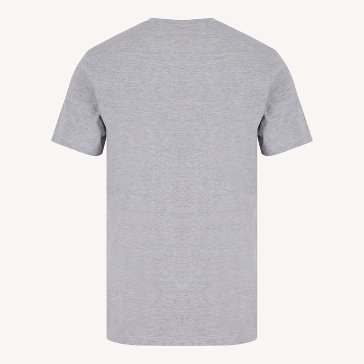 Mens Grey Wave Chaser T-shirt