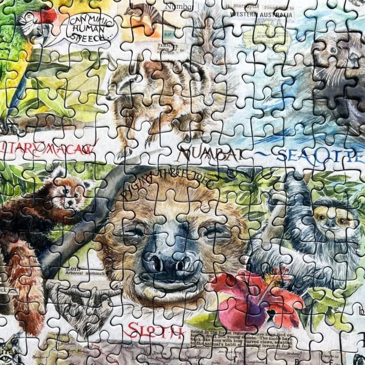 1000PC Suns Bears and Sloths Gibsons Jigsaw