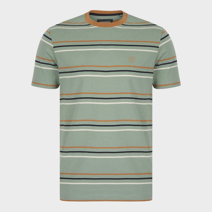 Mens Multi Stripe T-Shirt