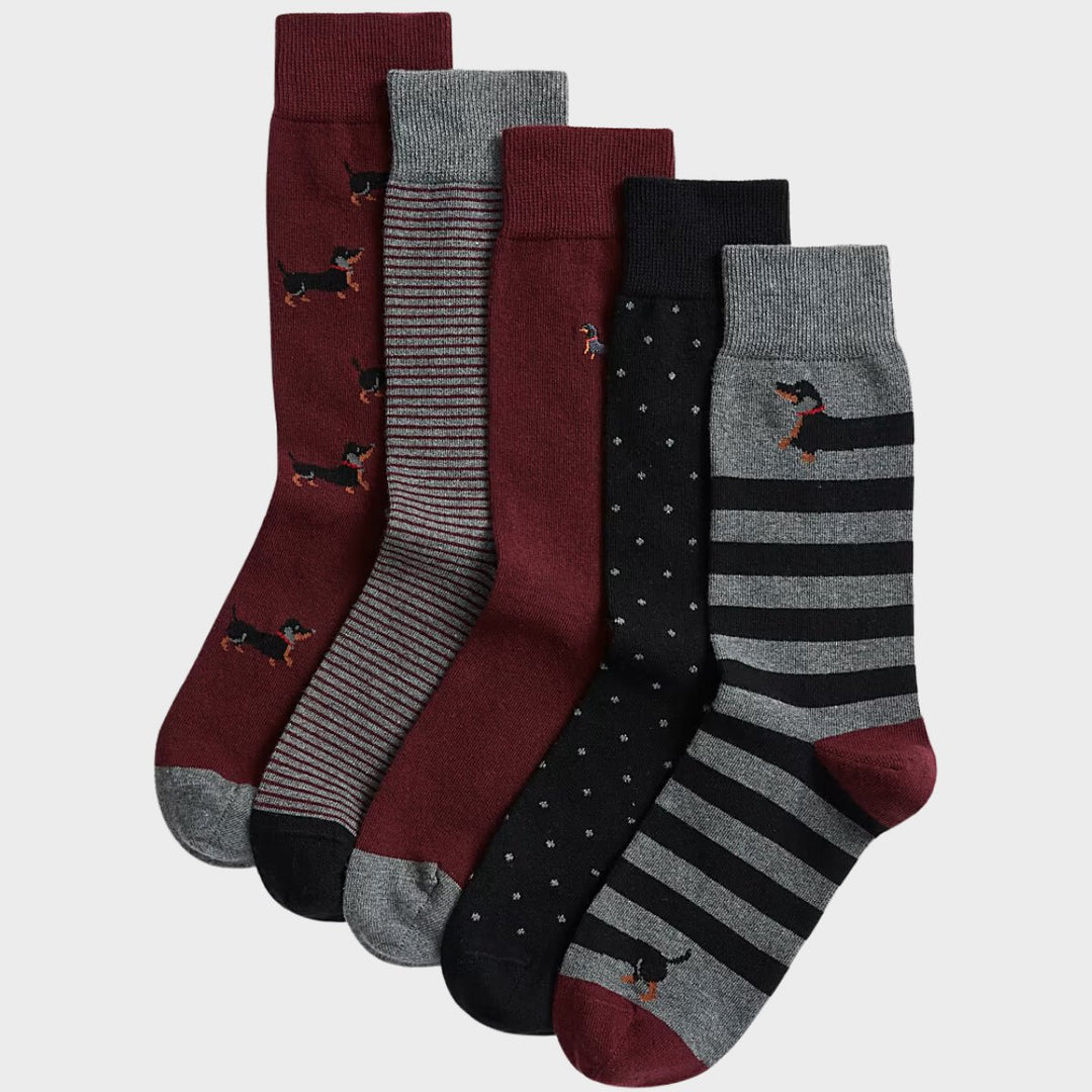 5pk Cotton Rich Dachshund Socks from You Know Who's