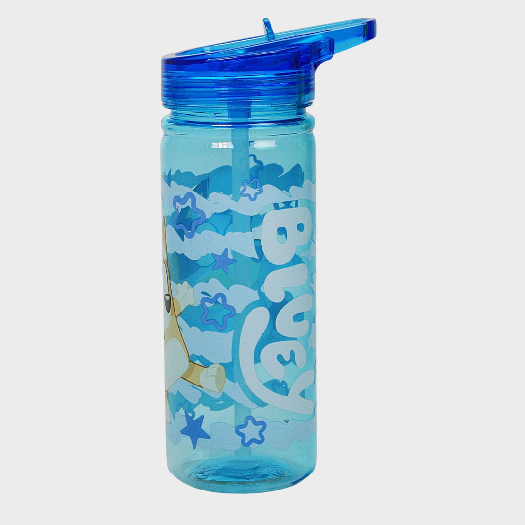 Kids Blue Bluey Themed Water Bottle