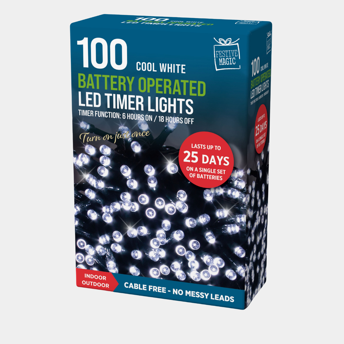 LED timer lights 100 white