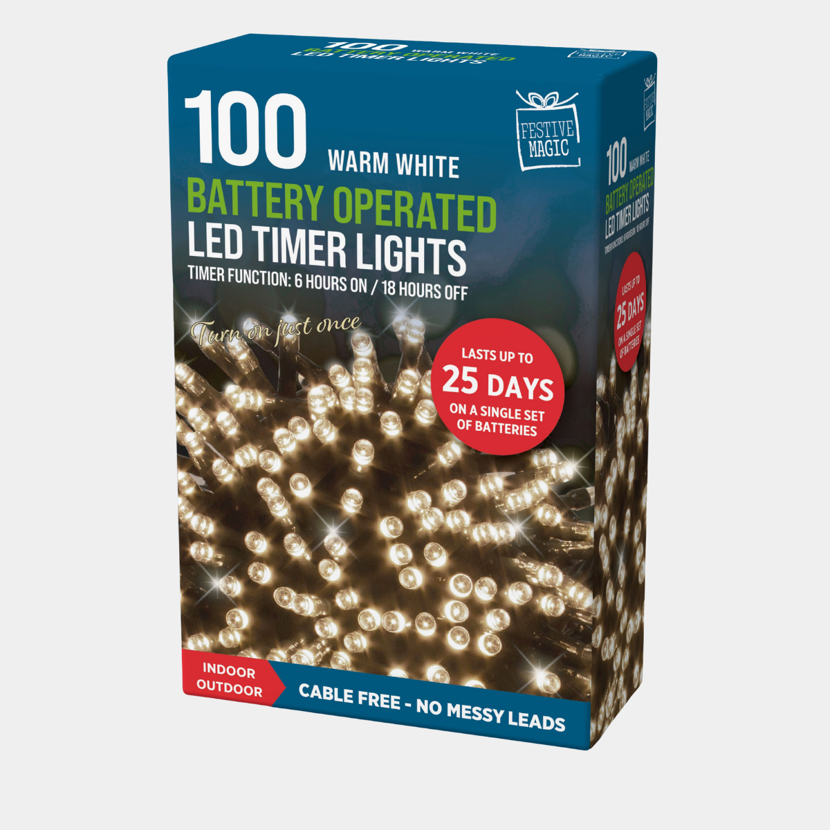 100 LED Timer Lights Warm White