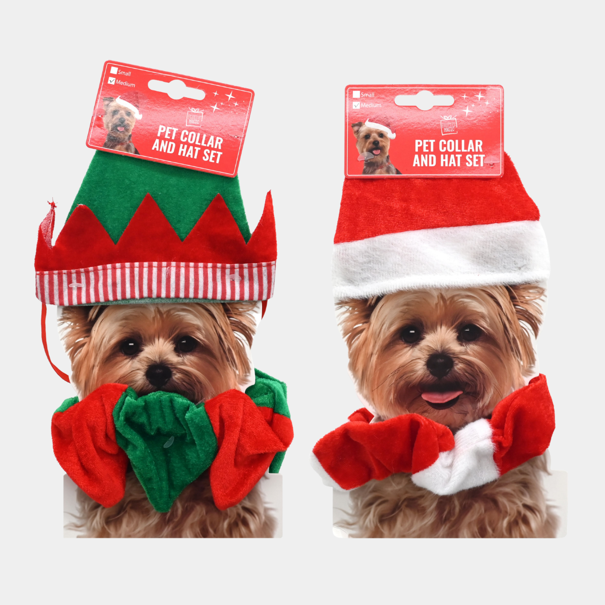 PET HAT AND COLLAR SET x 1