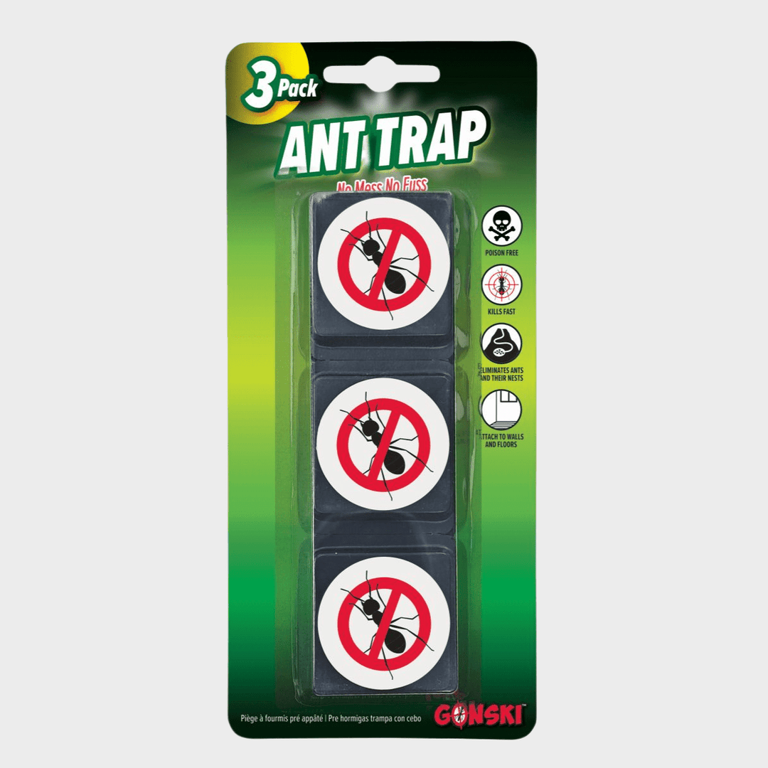Ant Glue Traps 3 Pack from You Know Who's