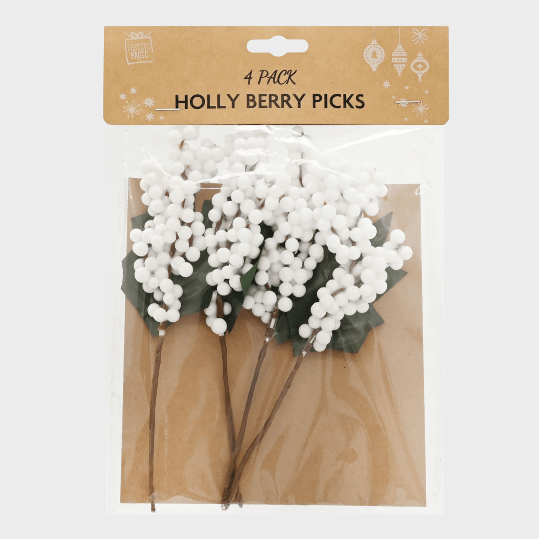 Berry pick 4pk 17cm asst from You Know Who's