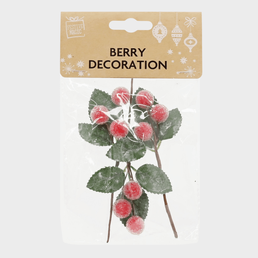 Berry stem or pick pack 6asst from You Know Who's