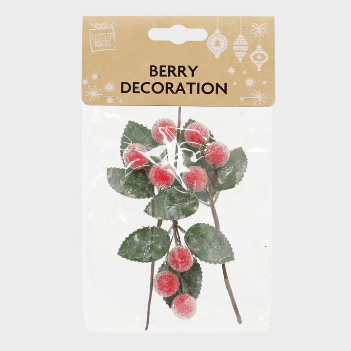 Berry stem or pick pack 6asst from You Know Who's