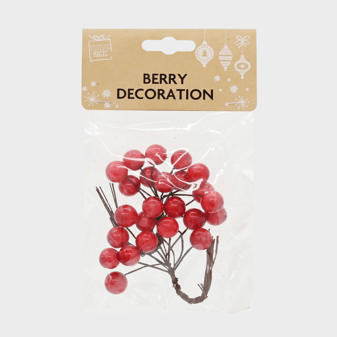 Berry stem or pick pack 6asst from You Know Who's