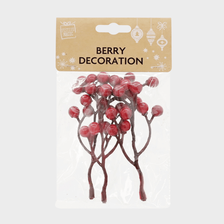 Berry stem or pick pack 6asst from You Know Who's