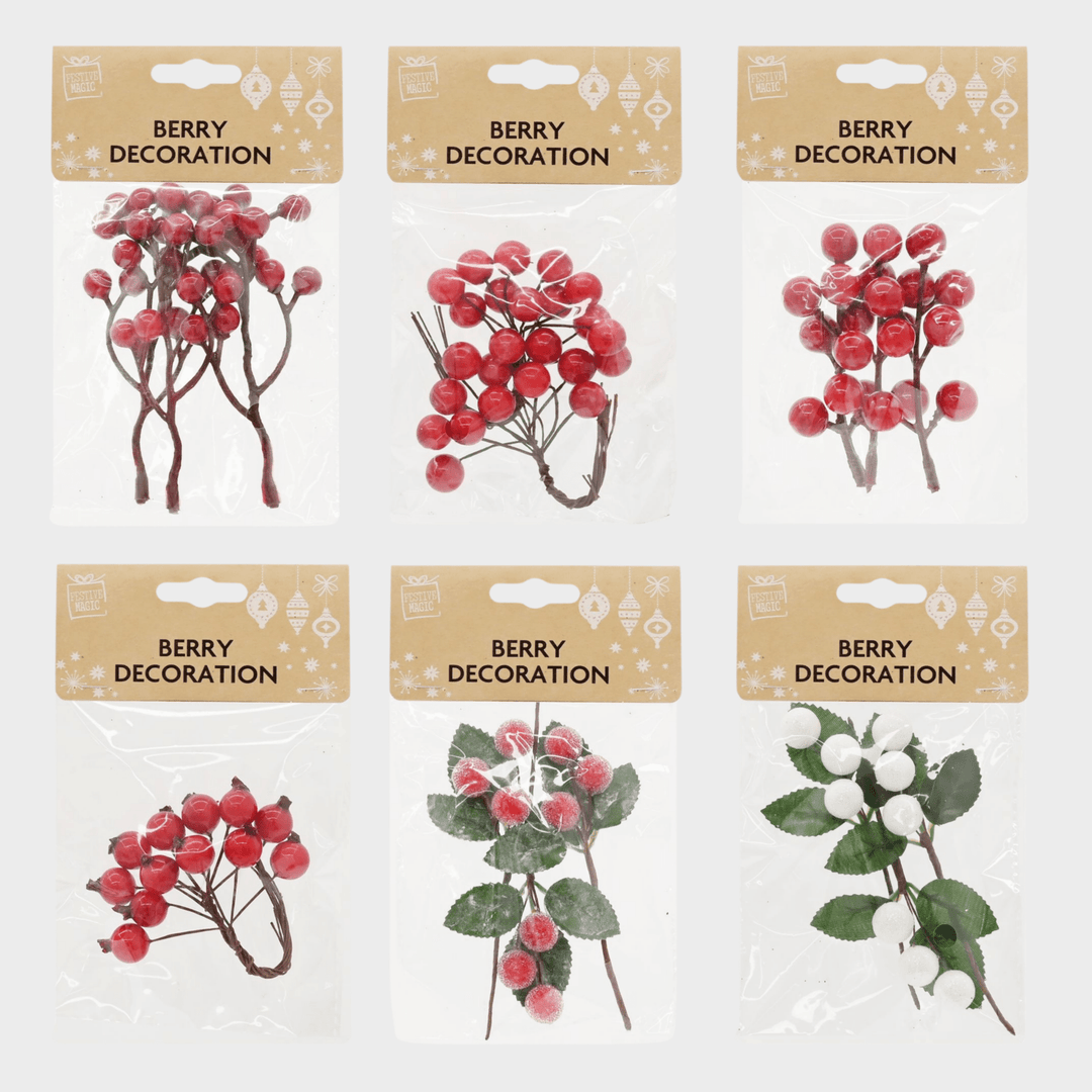 Berry stem or pick pack 6asst from You Know Who's