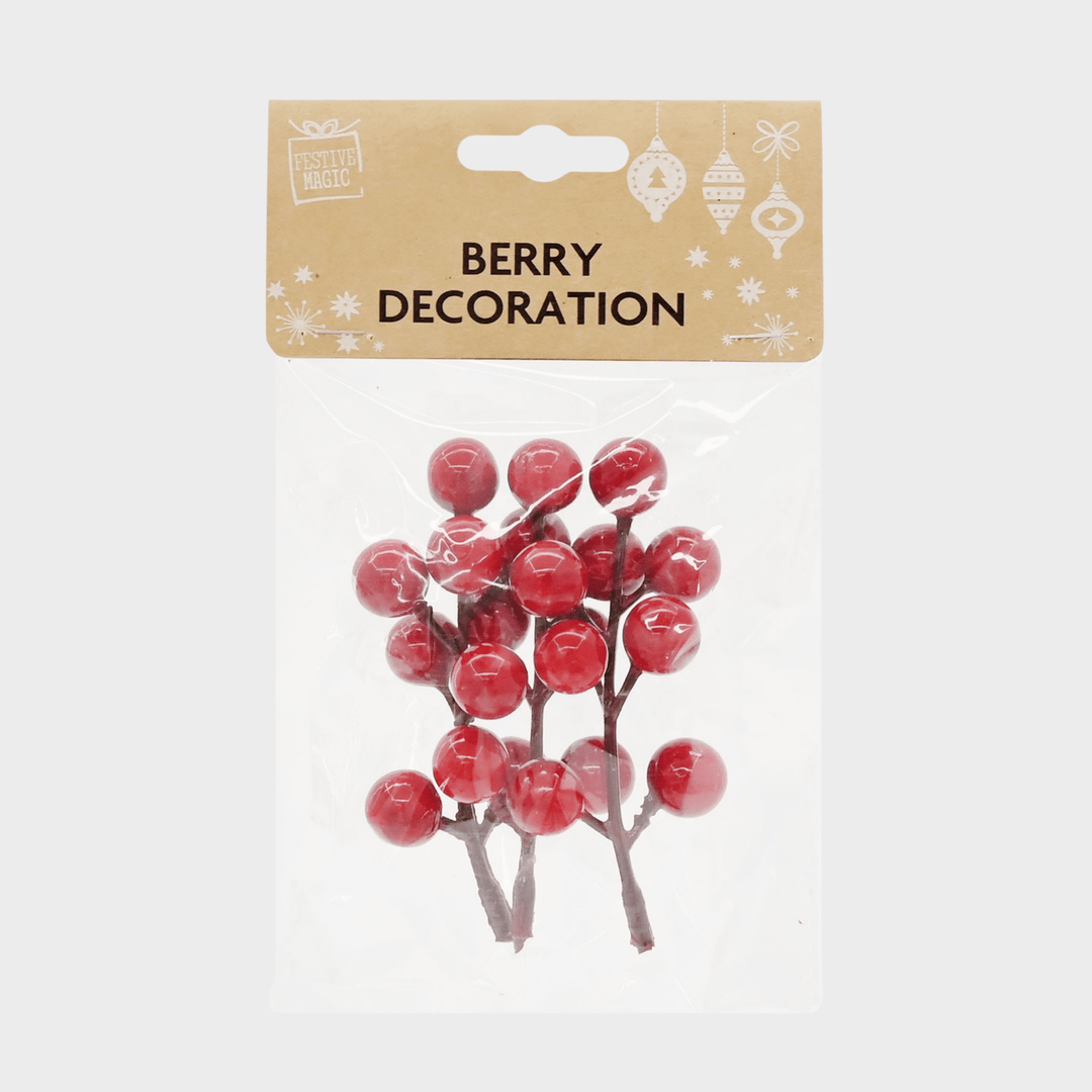 Berry stem or pick pack 6asst from You Know Who's