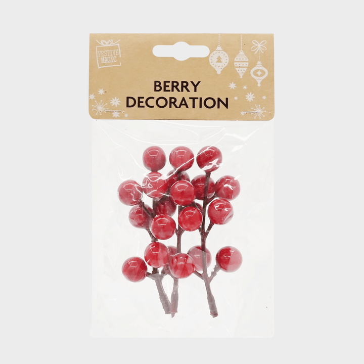 Berry stem or pick pack 6asst from You Know Who's