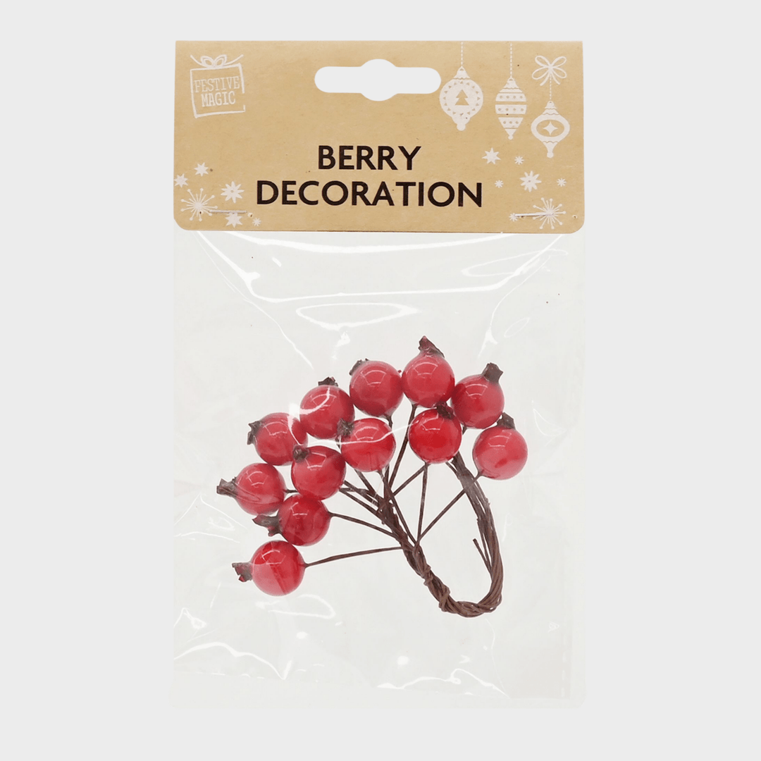 Berry stem or pick pack 6asst from You Know Who's