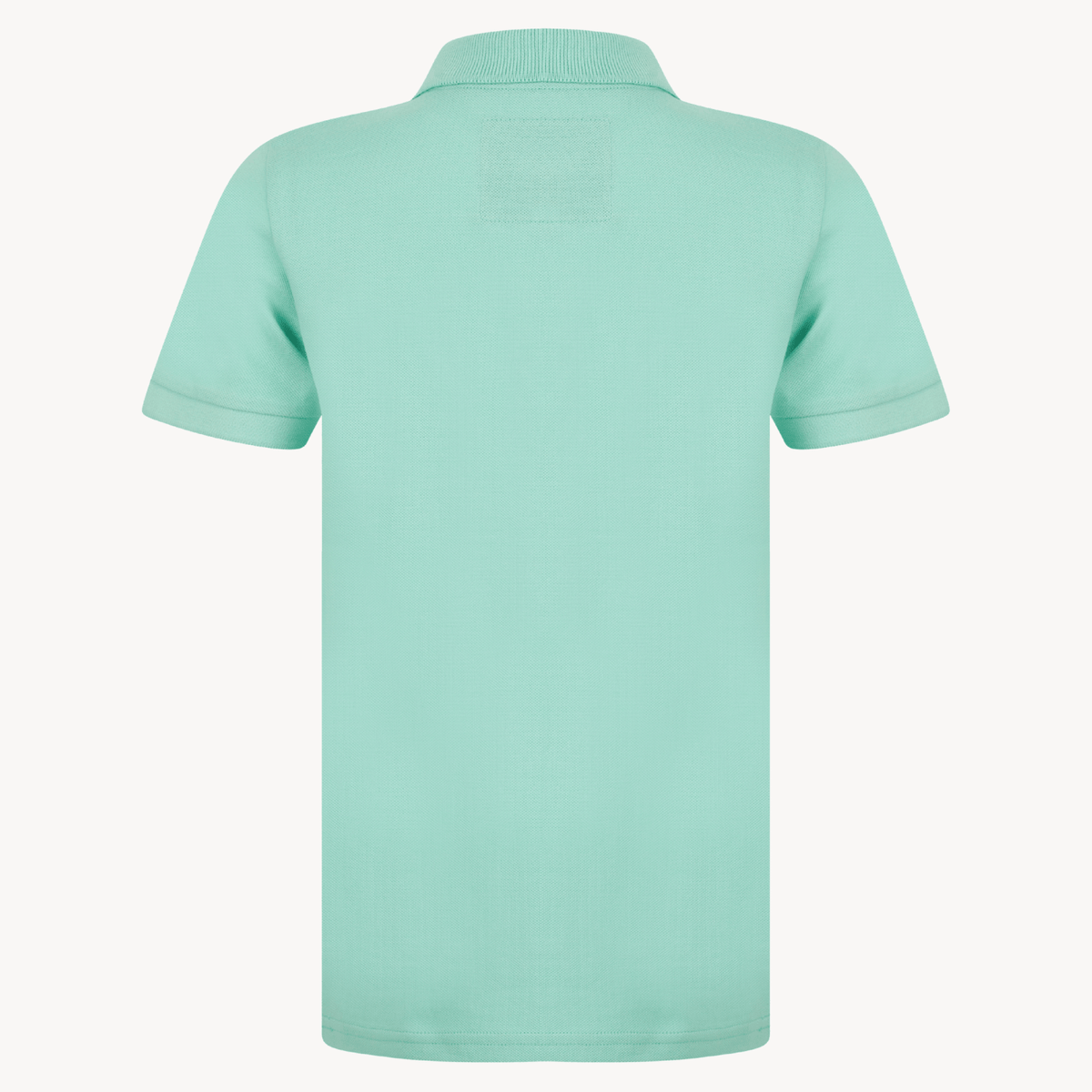 Boys Jade Tokyo Laundry Embroidered Polo Shirt from You Know Who's