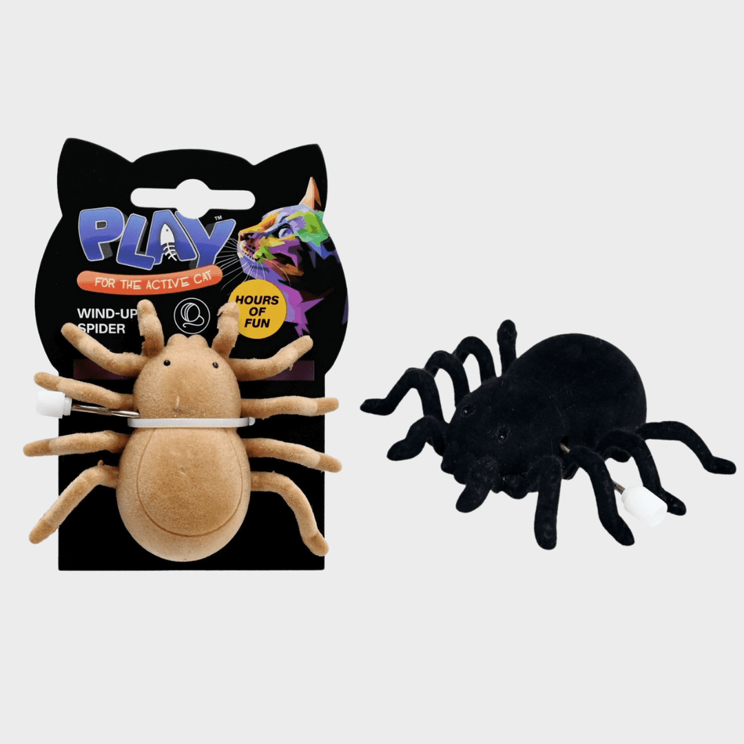 Cat Wind - up Spider Toy 2 Assorted Colours from You Know Who's