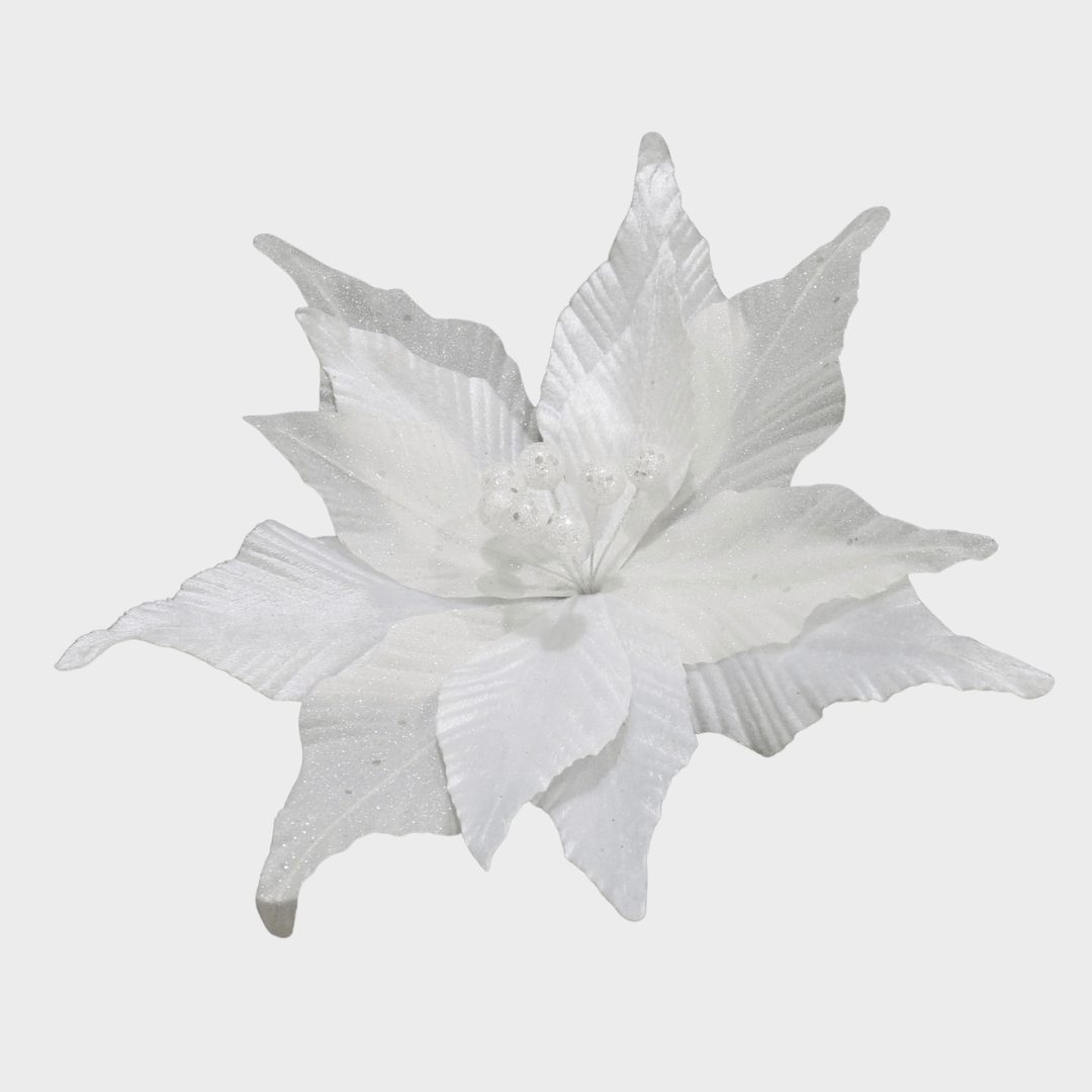 Clip on poinsettia 30cm velvet glitter white from You Know Who's