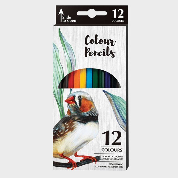 Coloured Pencils 12 Pack from You Know Who's