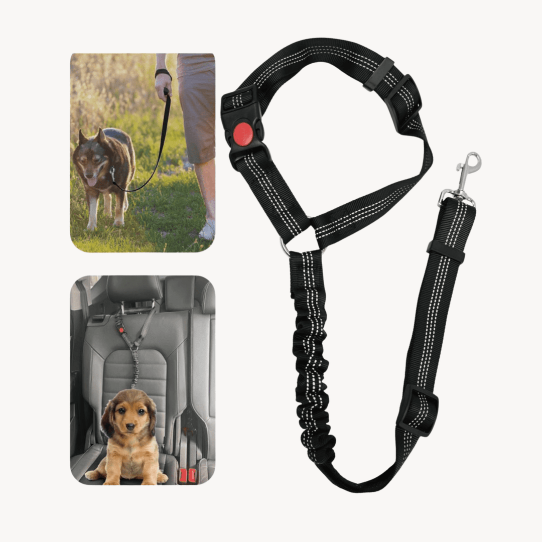 Dog Cat Safety Seatbelt Strap from You Know Who's