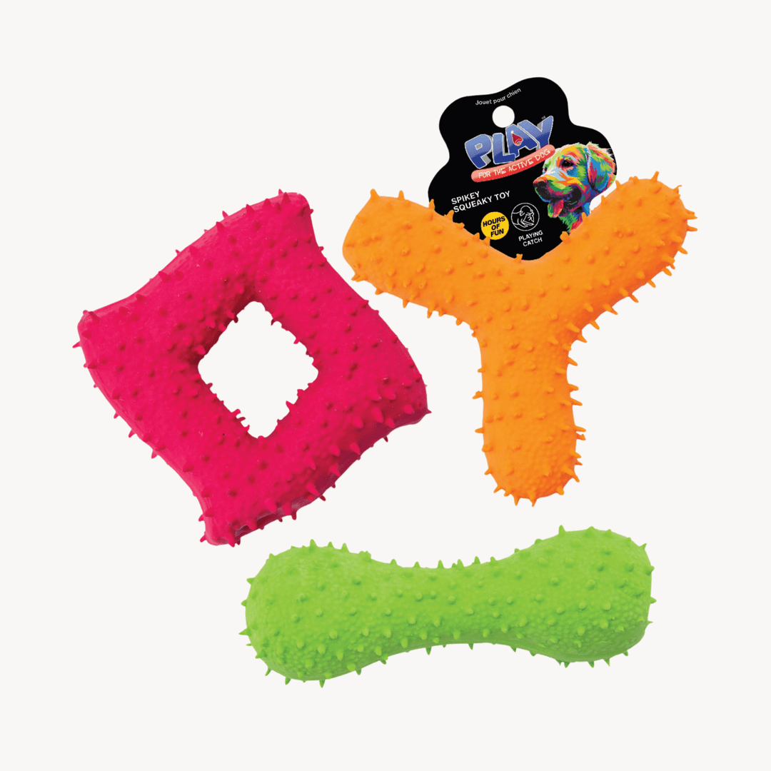 Dog Squeaky and Spiky Toy from You Know Who's