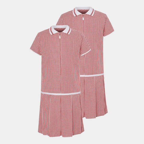 Girls Collar Gingham Zip Up 2pk School Dress from You Know Who's
