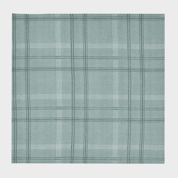 Green Check Set of 4 Napkins from You Know Who's