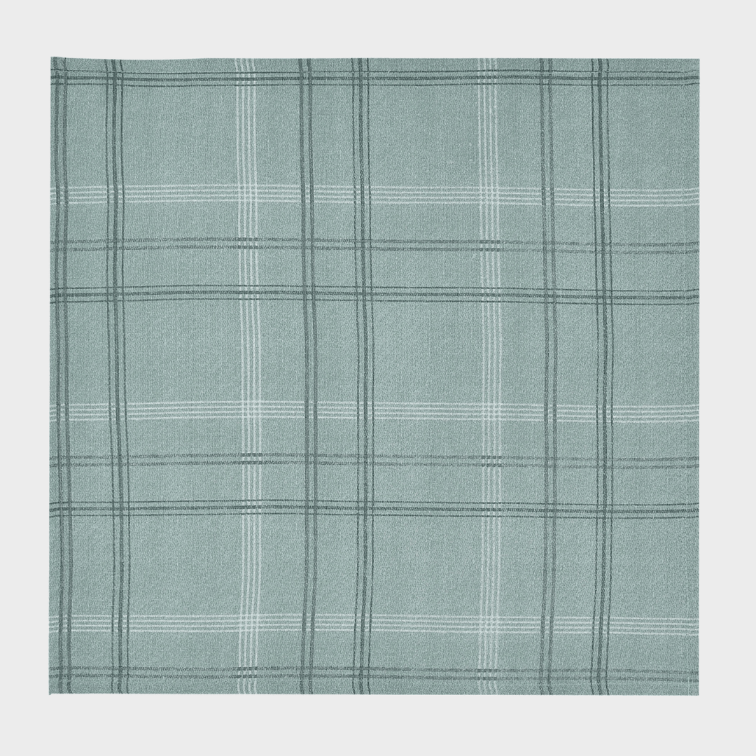 Green Check Set of 4 Napkins from You Know Who's