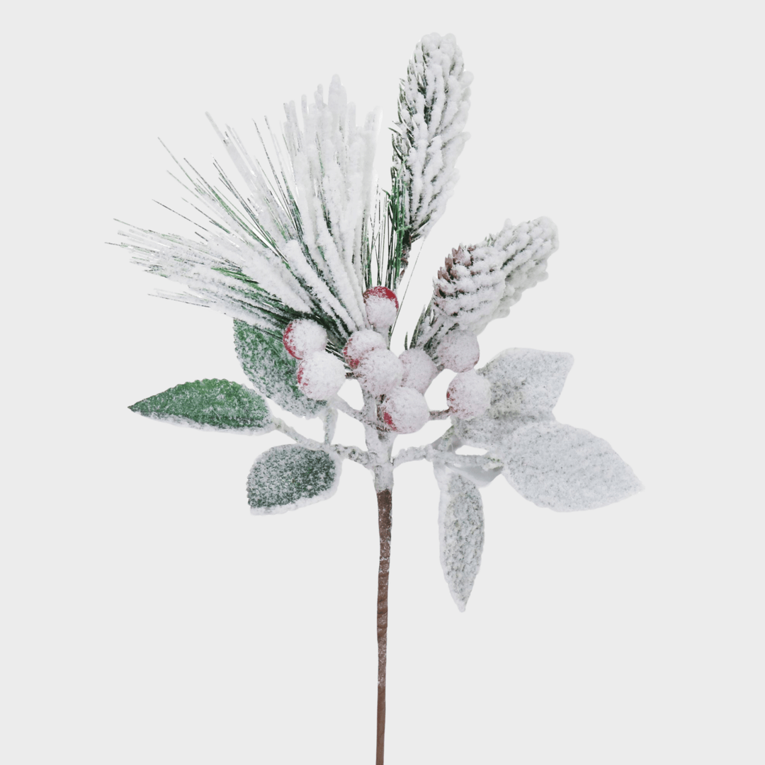 Heavy snowy pine berry pick 30cm from You Know Who's