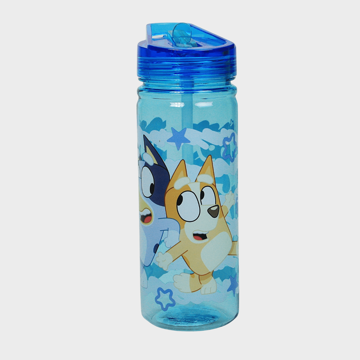 Kids Blue Bluey Themed Water Bottle from You Know Who's