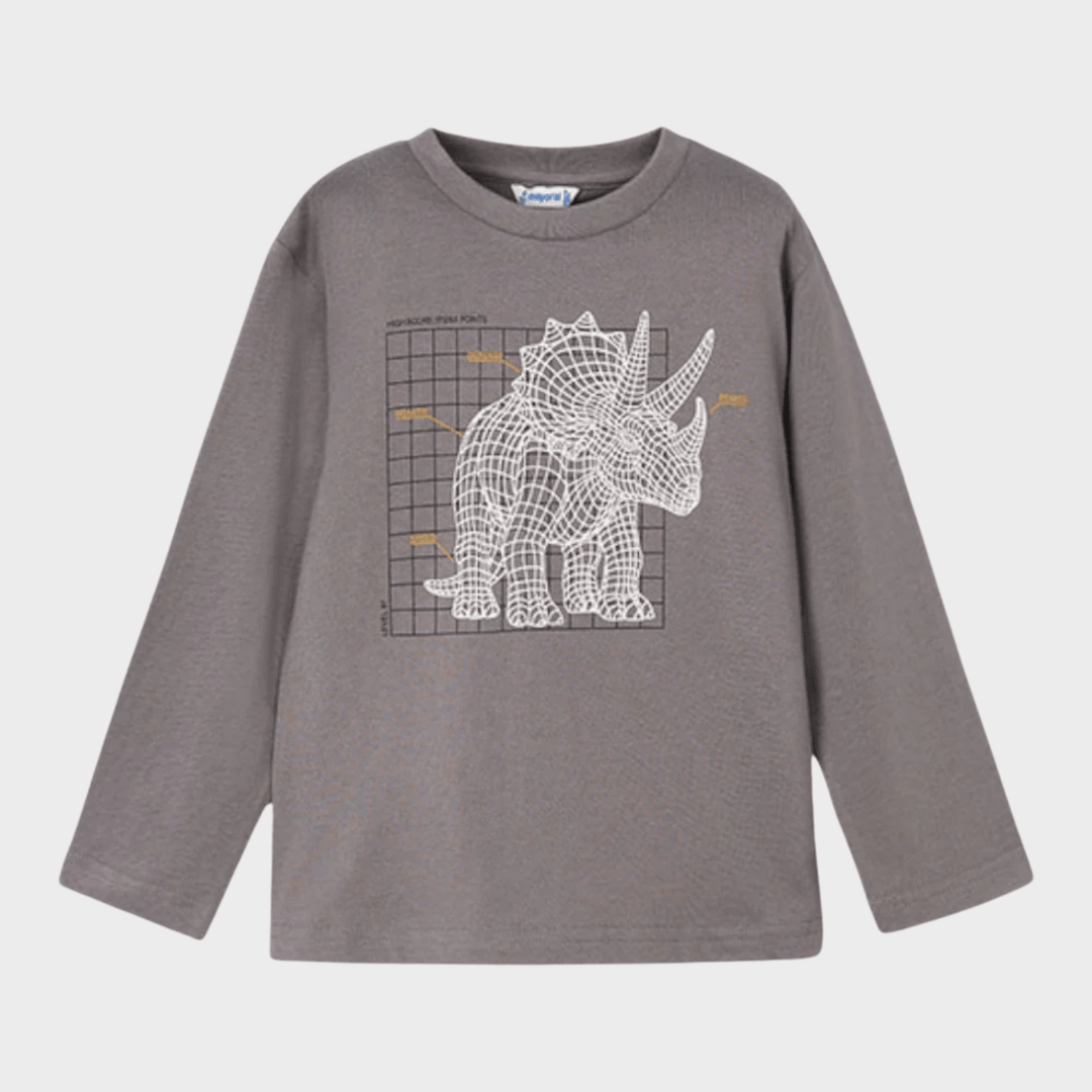 Kids Grey Dino Print Top (2Y - 10Y) from You Know Who's