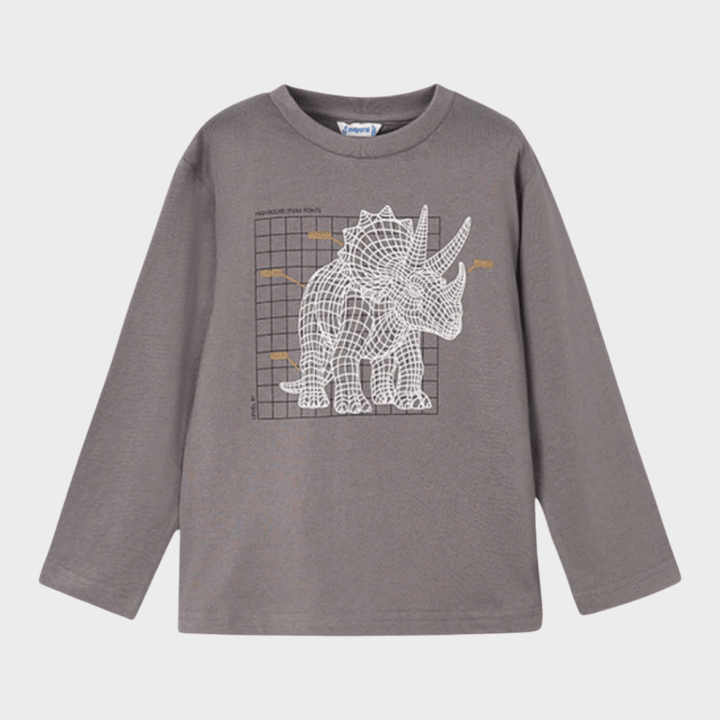 Kids Grey Dino Print Top (2Y - 10Y) from You Know Who's