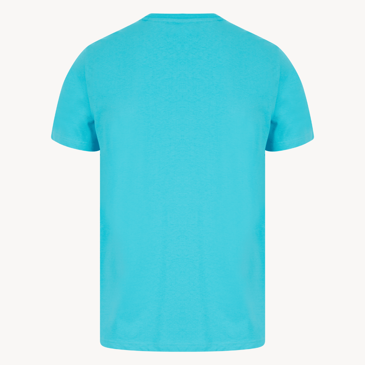 Mens Blue Santa Monic T-shirt from You Know Who's