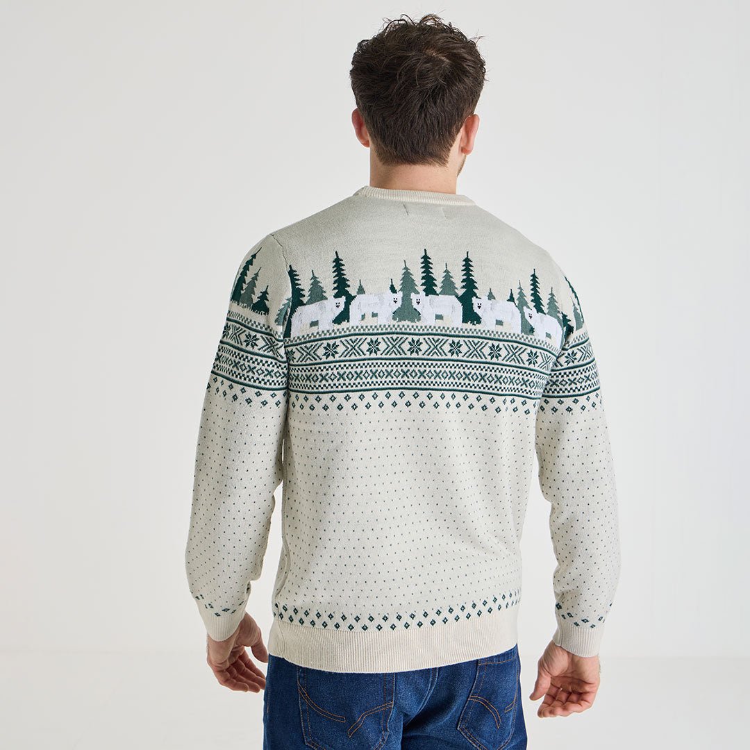 Mens Christmas Jumper from You Know Who's