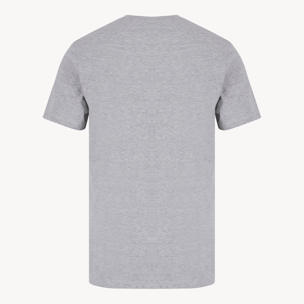 Mens Grey Wave Chaser T-shirt from You Know Who's