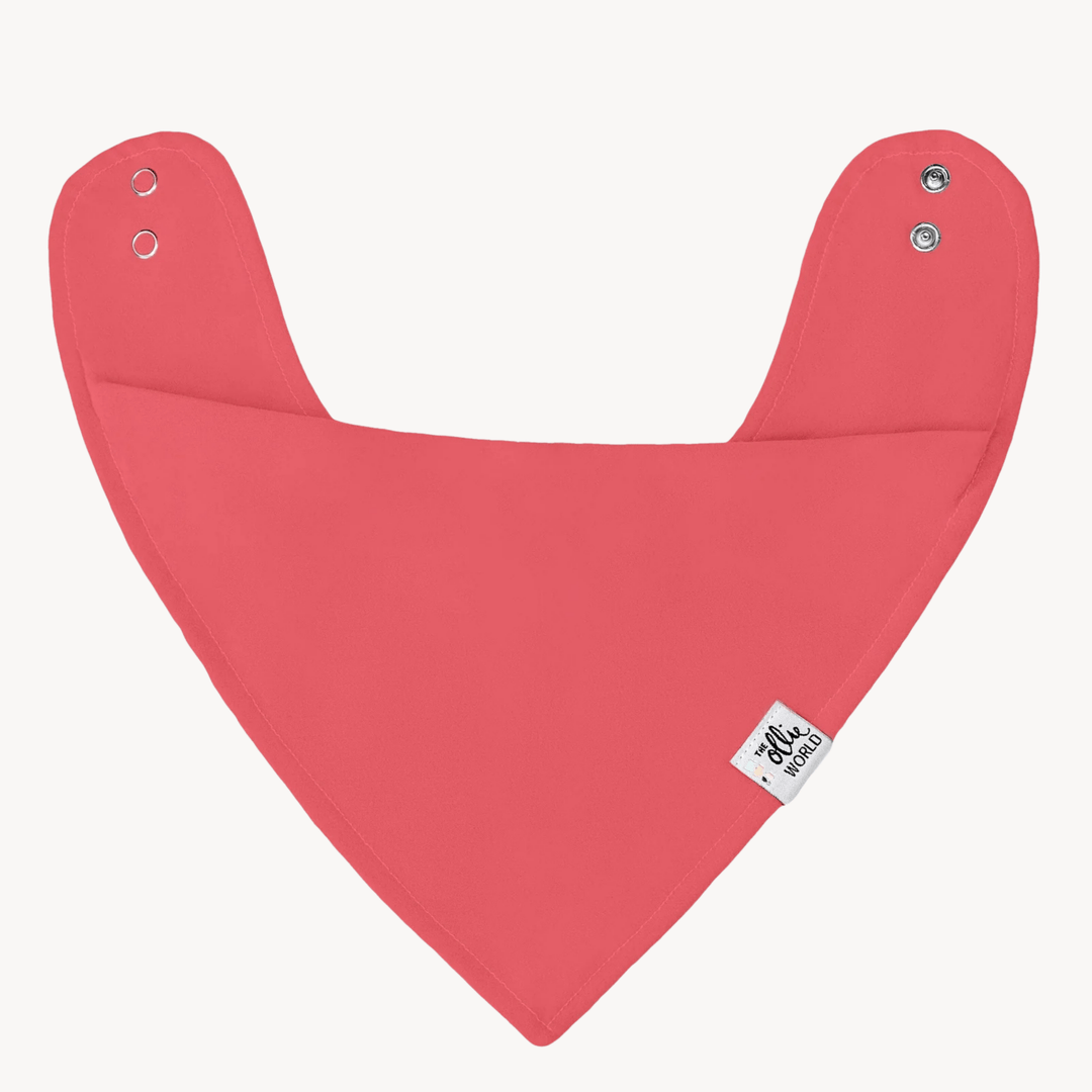 Ollies Bibs from You Know Who's