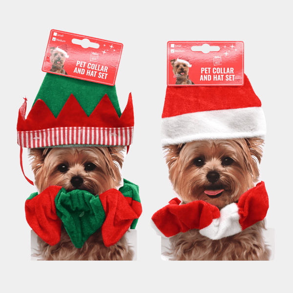 PET HAT AND COLLAR SET x 1 from You Know Who's