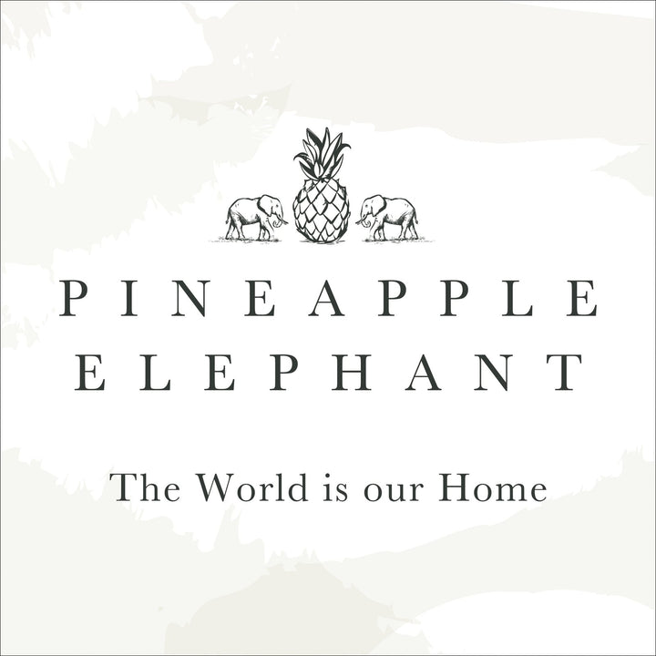 Pineapple Elephant Tamba Jersey Stripe Chambray Oxford Pillowcase Pair from You Know Who's