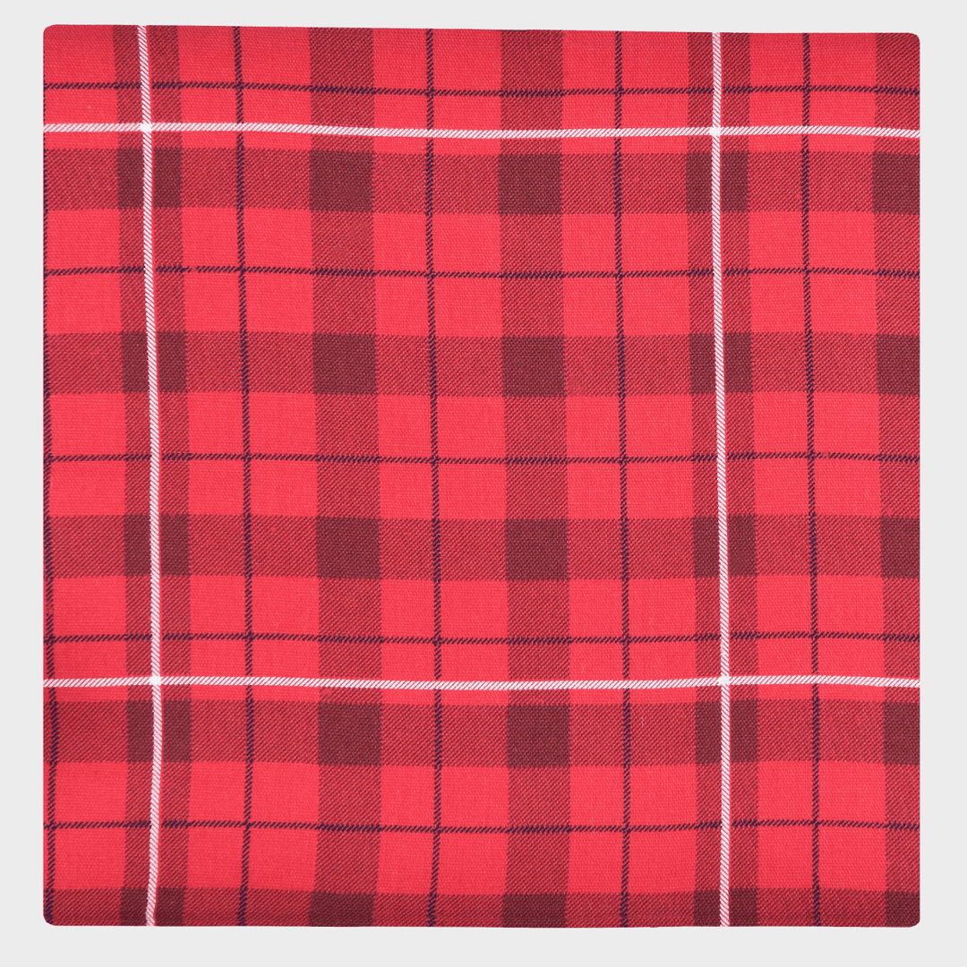 Red Check Set of 4 Napkins from You Know Who's