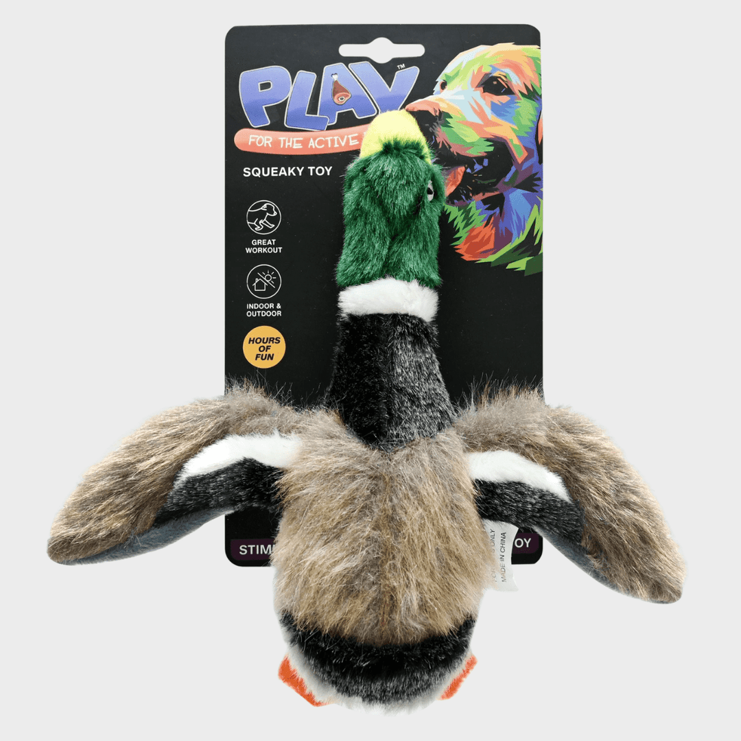 Squeaky Mallard Duck Pet Toy from You Know Who's