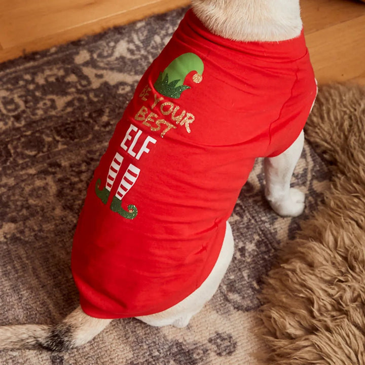 Threadbare Dog Elf Pyjamas from You Know Who's