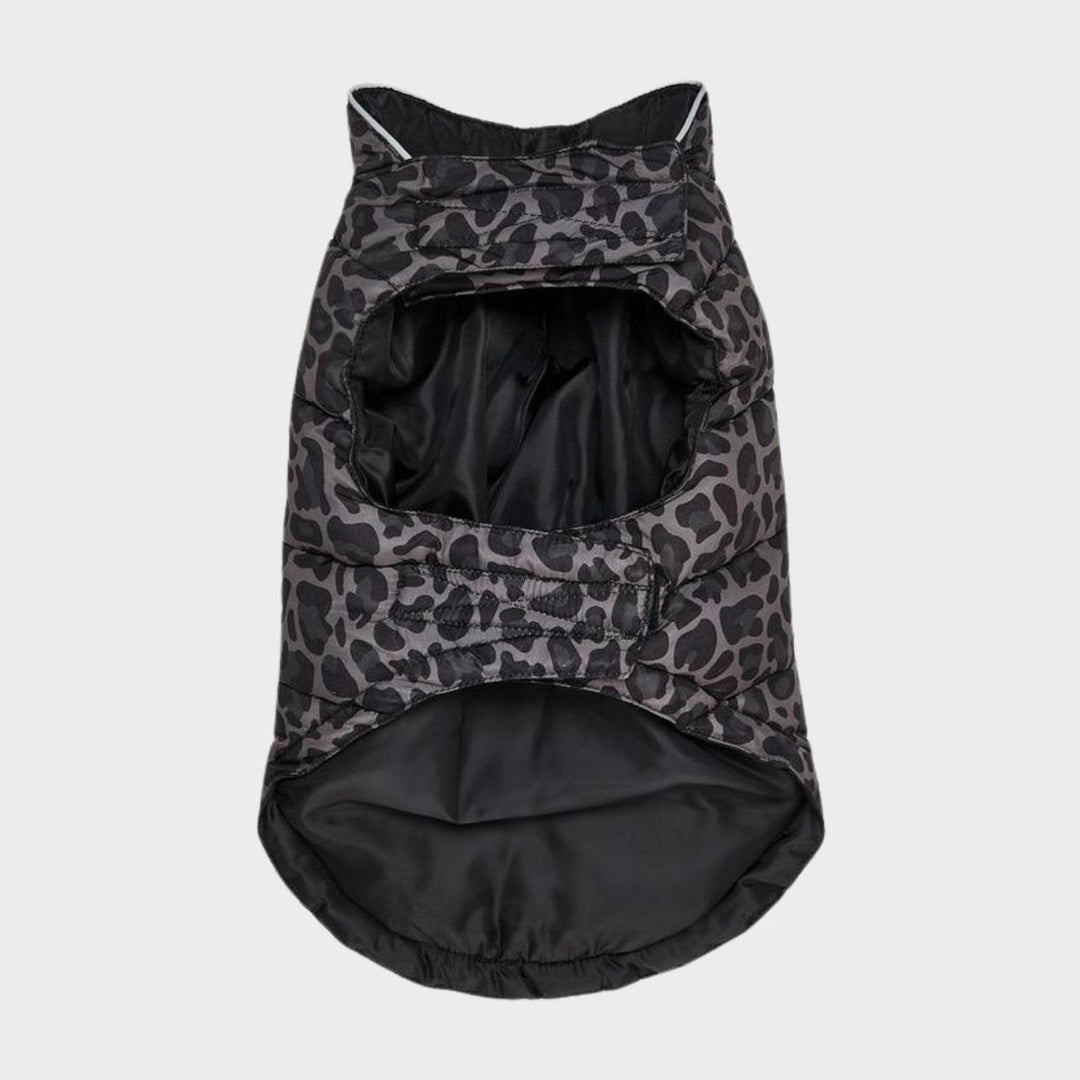 Threadbare Leopard Dog Coat from You Know Who's