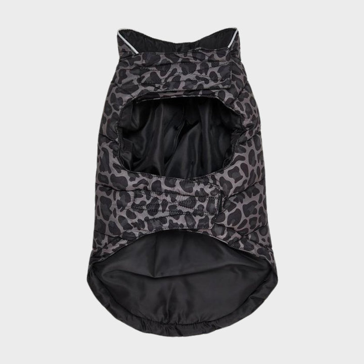 Threadbare Leopard Dog Coat from You Know Who's