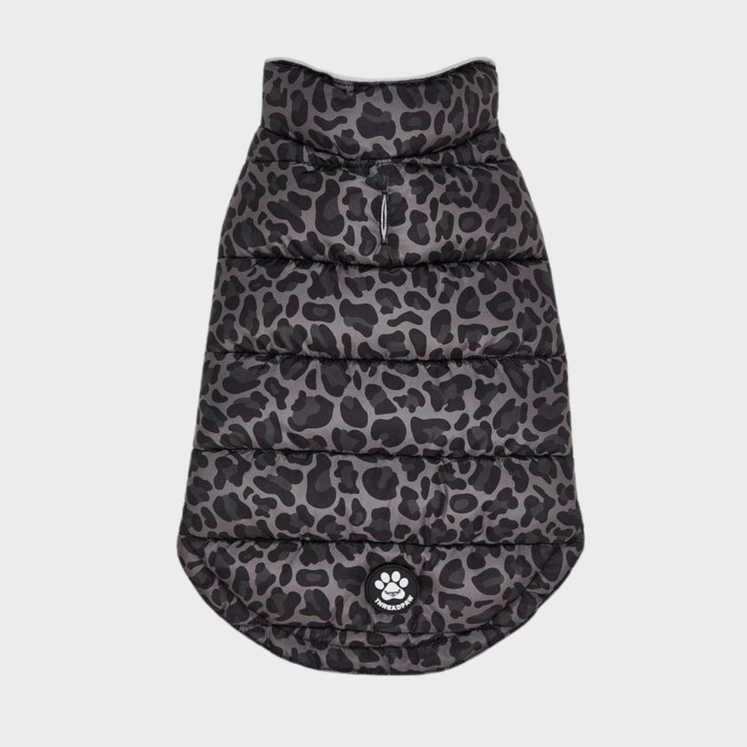 Threadbare Leopard Dog Coat from You Know Who's