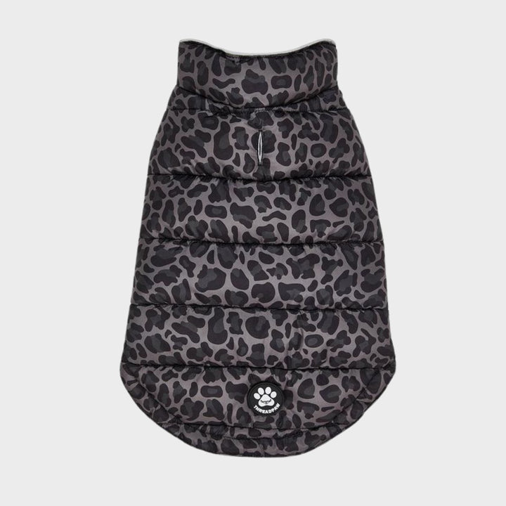 Threadbare Leopard Dog Coat from You Know Who's