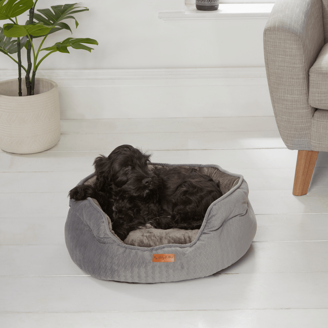 Traditional Plush Fleece Dog Bed - 2 Sizes from You Know Who's
