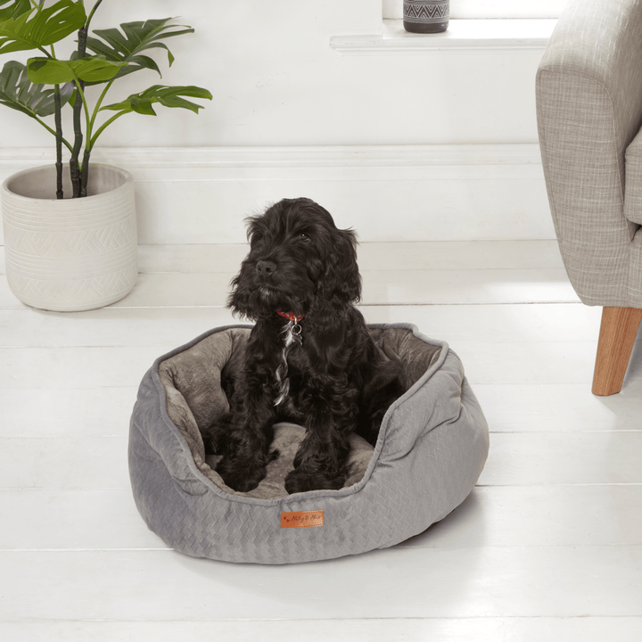 Traditional Plush Fleece Dog Bed - 2 Sizes from You Know Who's