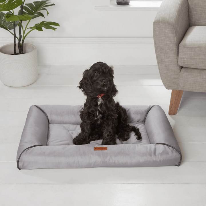 Wipe Clean Chunky Edge Pet Mattress - 2 Sizes from You Know Who's
